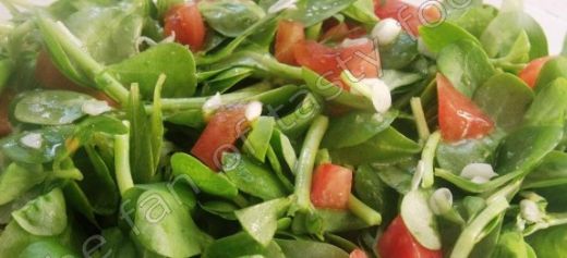 Sarımsaklı Semizotu Salatası