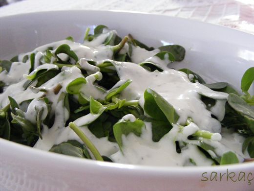 Semizotu Cacığı Tarifi ve Malzemeleri