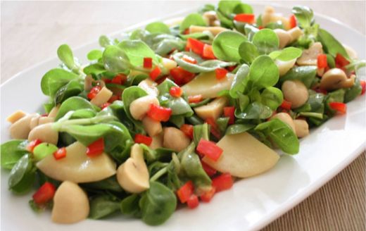 Semizotu Salatası Tarifi ve Malzemeleri