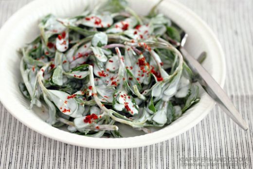 Semizotu Salatası Yoğurtlu Tarifi ve Malzemeleri