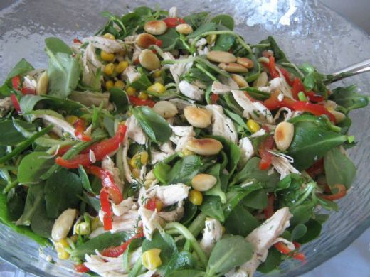 Tavuklu Semizotu Salatası Tarifi ve Malzemeleri